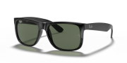 RAYBAN RB 4165 601/71 55G Erkek Güneş Gözlüğü