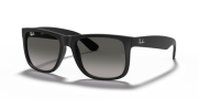 RAYBAN RB 4165 601/8G 55G Erkek Güneş Gözlüğü