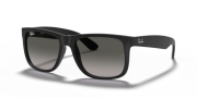 RAYBAN RB 4165 601/8G 55G Erkek Güneş Gözlüğü