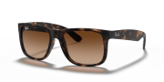 RAYBAN RB 4165 710/13 55G Erkek Güneş Gözlüğü