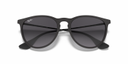 RAYBAN RB 4171 622/8G  54G Unisex Güneş Gözlüğü