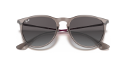 RAYBAN RB 4171 65138G 54G Unisex Güneş Gözlüğü