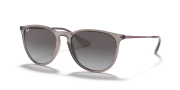 RAYBAN RB 4171 65138G 54G Unisex Güneş Gözlüğü