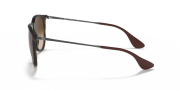 RAYBAN RB 4171 865/13 54G Unisex Güneş Gözlüğü