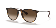 RAYBAN RB 4171 865/13 54G Unisex Güneş Gözlüğü