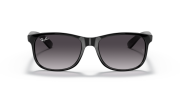 RAYBAN RB 4202 601/8G 55G Erkek Güneş Gözlüğü