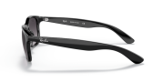 RAYBAN RB 4202 601/8G 55G Erkek Güneş Gözlüğü