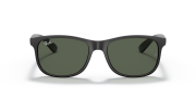 RAYBAN RB 4202 606971 55G Erkek Güneş Gözlüğü