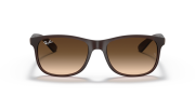 RAYBAN RB 4202 607313 55G Erkek Güneş Gözlüğü