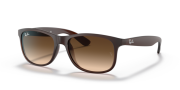 RAYBAN RB 4202 607313 55G Erkek Güneş Gözlüğü