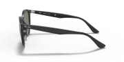 RAYBAN RB 4305 601/71 53G Unisex Güneş Gözlüğü