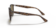 RAYBAN RB 4305 710/73 53G Havana Unisex Güneş Gözlüğü