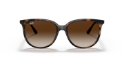 RAYBAN RB 4378 601/8G-54G Havana Kadın Güneş Gözlüğü