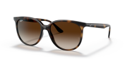 RAYBAN RB 4378 601/8G-54G Havana Kadın Güneş Gözlüğü