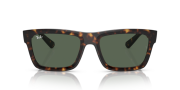 RAYBAN RB 4396 135971-54G Havana Unisex Güneş Gözlüğü