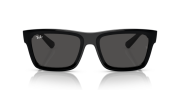 RAYBAN RB 4396 667787-54 Unisex Güneş Gözlüğü