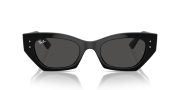 RAYBAN RB 4430 667787-49G Unisex Güneş Gözlüğü