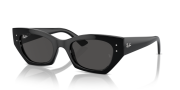RAYBAN RB 4430 667787-52G Unisex Güneş Gözlüğü
