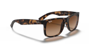 Rayban 4165 710/13 55 Erkek Güneş Gözlüğü