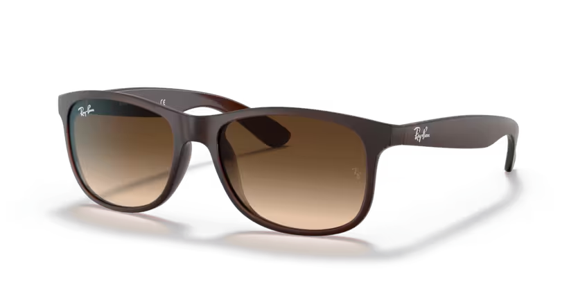 Rayban 4202 607313 55 Erkek Güneş Gözlüğü