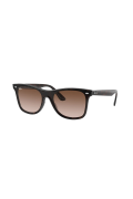 Rayban 4440N 710/13 41 Unisex Güneş Gözlüğü