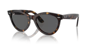 Rayban 2241 902/B1 54 Unisex Güneş Gözlüğü
