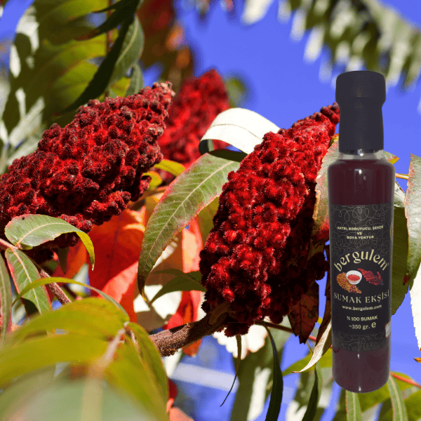 Doğal Sumak Ekşisi 250 ml (280 gr)
