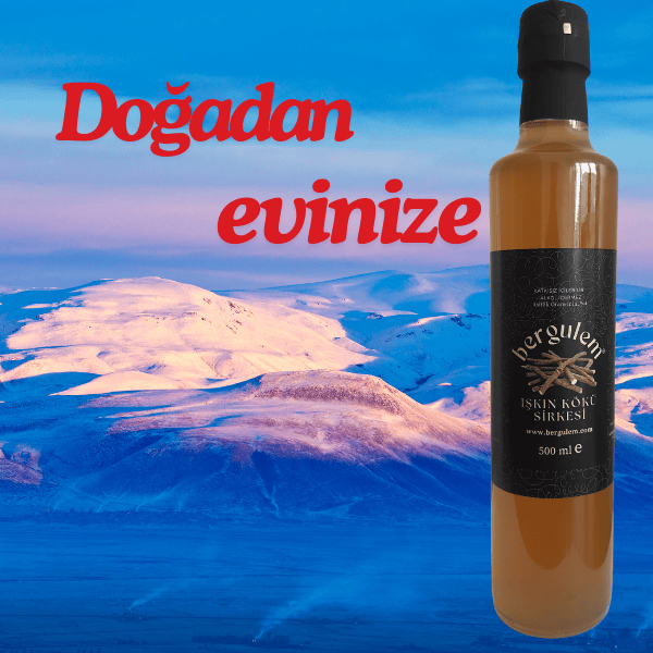 Işkın Kökü Sirkesi 500 ml
