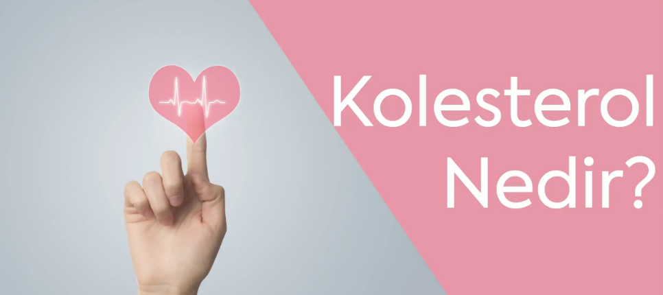 Kolesterol Nedir?