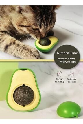 AVAKADO CATNİP