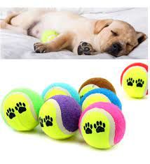 3 ‘LÜ KÖPEK EĞİTİM TOPU