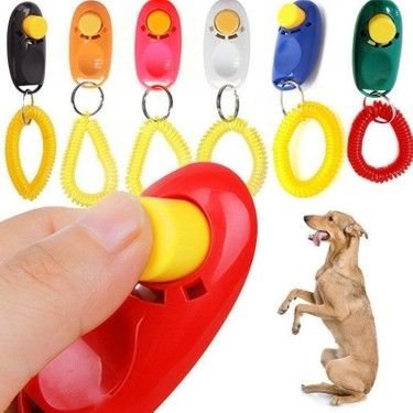 Clicker köpek eğitim aparatı