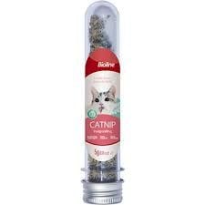 Bioline Catnip Kedi Otu 45 ml