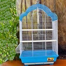 Eurogold kafes renkli 34,5×28×54,5cm 10’ lu