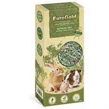 Eurogold kemirgenler için yeşil yonca