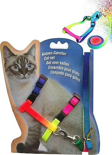 KEDİ GÖVDE TAKIM