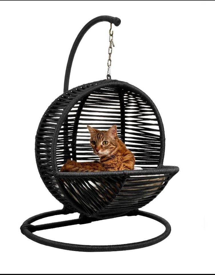 KEDİ SALINCAĞI