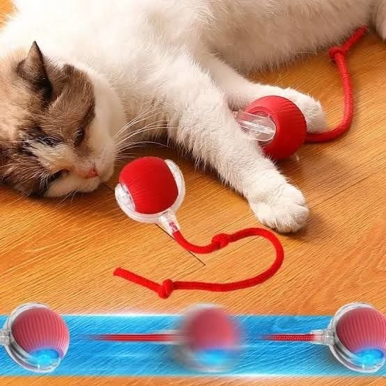 KUYRUKLU IŞIKLI AKILLI GEZEN KEDİ TOPU