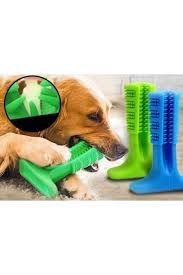 Köpek Diş kaşıma aparatı
