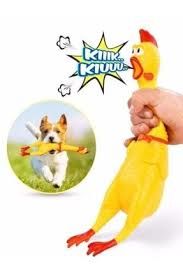 Küçük boy öten horoz