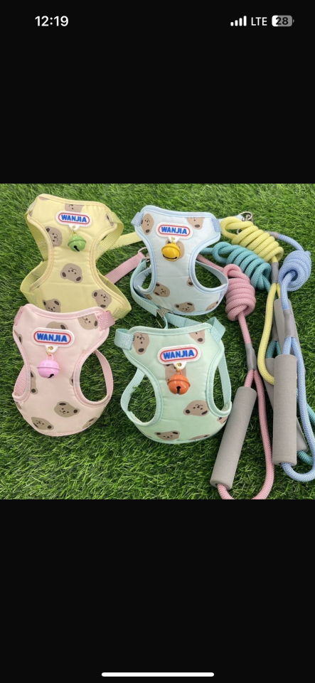 AYARLANABİLİR KEDİ KÖPEK GÖVDE TASMA SETİ