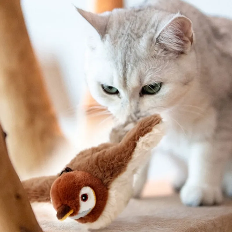 İNTERAKTİF SESLİ KUŞ KEDİ OYUNCAĞI