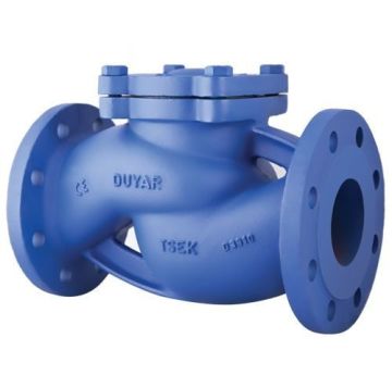 DN50 PN16 FLANŞLI YAYLI ÇEKVALF DUYAR