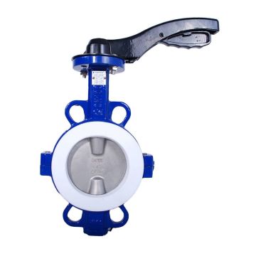 DN250 WAFER TEFLON CONTALI KELEBEK VANA İNDEM