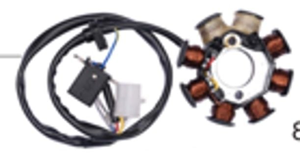 Stator (125 CC)