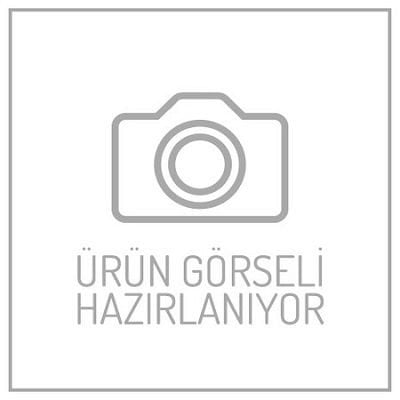 DİREKSİYON MİLİ