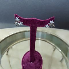 Kadın Minimal Yıldız Çelik Küpe