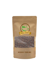 Kanola Tohumu