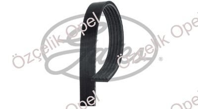 ASTRA G V KAYIŞI 5 PK 1210 - GATES MARKA