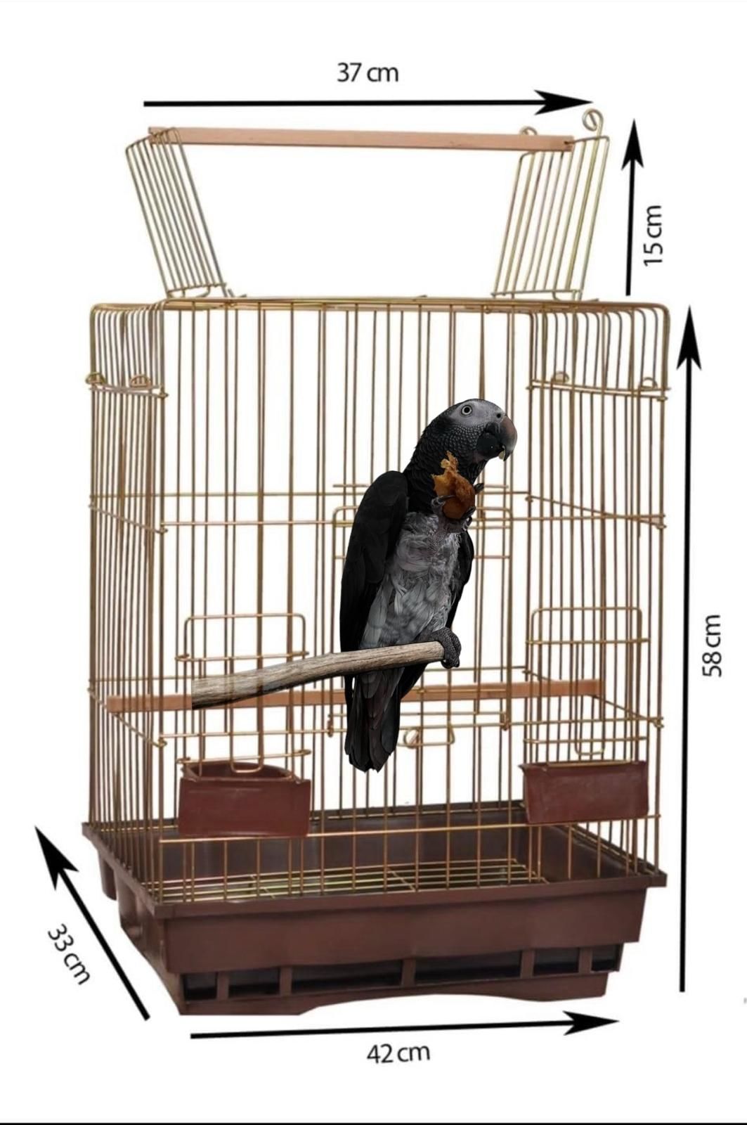 JAKO PAPAĞAN KAFESİ
